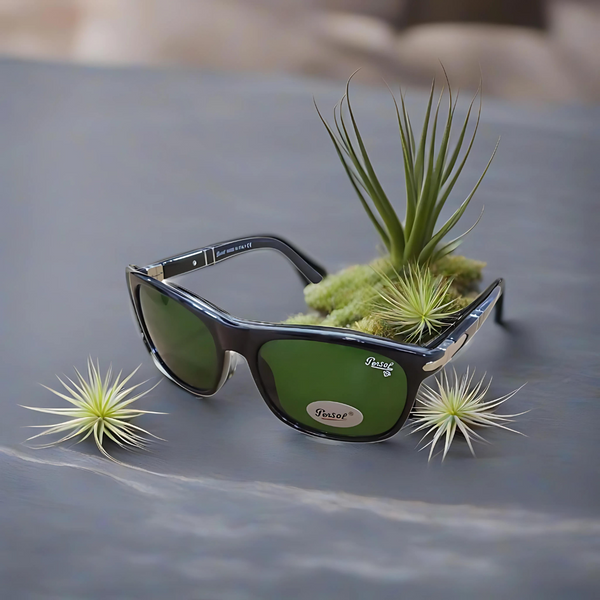 Persol Wayfarer Design Polished Surface (Imran Khan)+ Frame for Optics